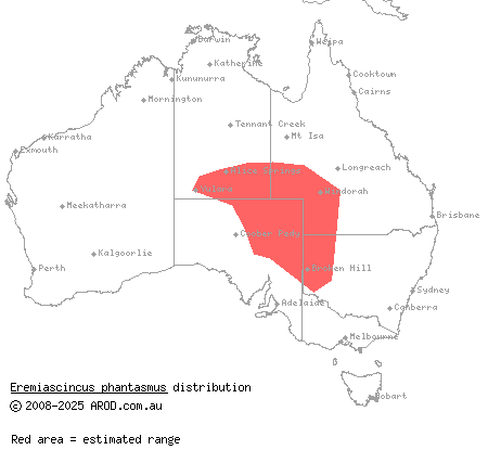 ghost skink (Eremiascincus phantasmus) distribution range map