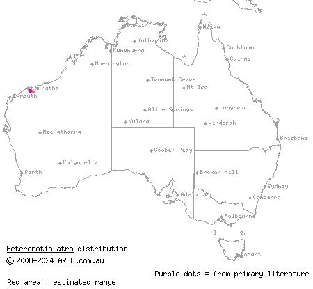 black Pilbara gecko (Heteronotia atra) distribution range map