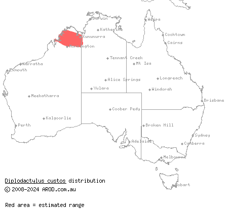 Kimberley fat-tailed gecko (Diplodactylus custos) distribution range map