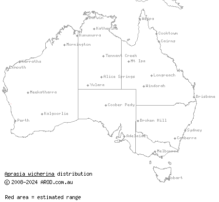 Wicherina worm lizard (Aprasia wicherina) distribution range map