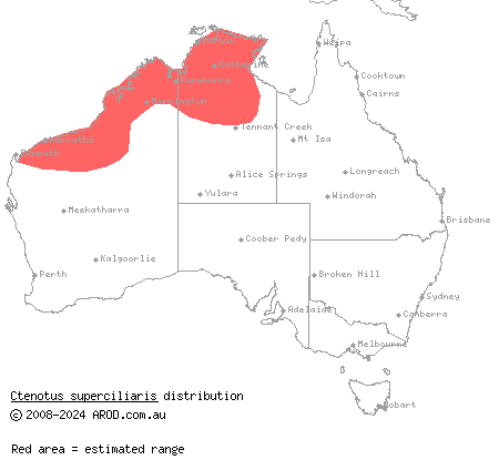 sharp-browed ctenotus (Ctenotus superciliaris) distribution range map