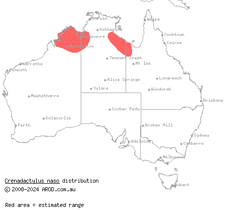Kimberley clawless gecko (Crenadactylus naso) distribution range map
