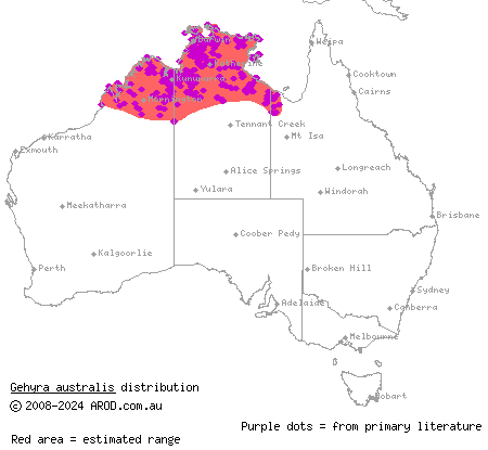 northern dtella (Gehyra australis) distribution range map