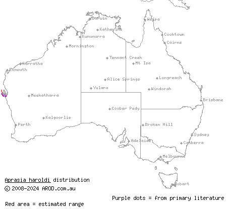 Shark Bay worm-lizard (Aprasia haroldi) distribution range map