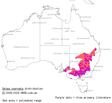 patternless delma (Delma inornata) distribution range map