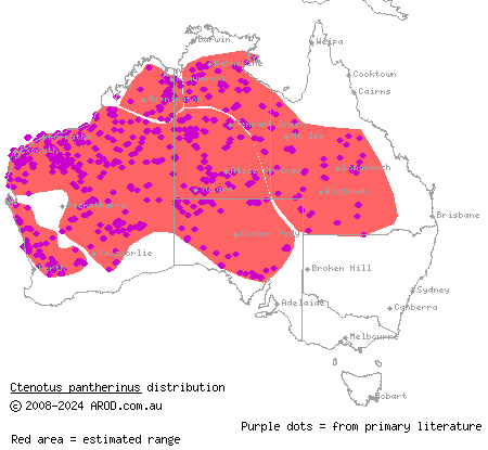 leopard ctenotus (Ctenotus pantherinus) distribution range map