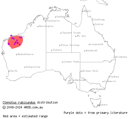 ruddy ctenotus (Ctenotus rubicundus) distribution range map