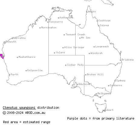 Shark Bay south-west ctenotus (Ctenotus youngsoni) distribution range map