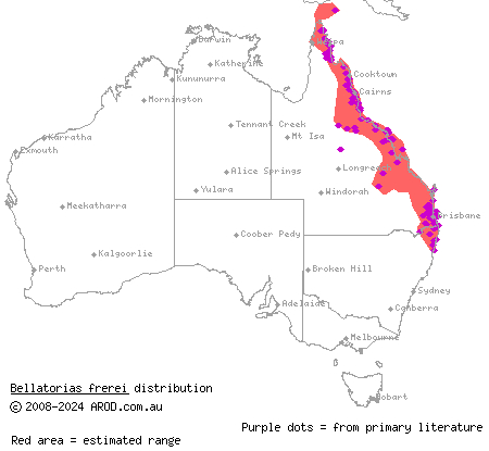 major skink (Bellatorias frerei) distribution range map