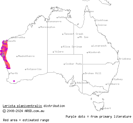 keeled slider (Lerista planiventralis) distribution range map