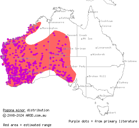 dwarf bearded dragon (Pogona minor) distribution range map