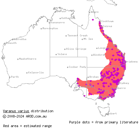 lace monitor (Varanus varius) distribution range map