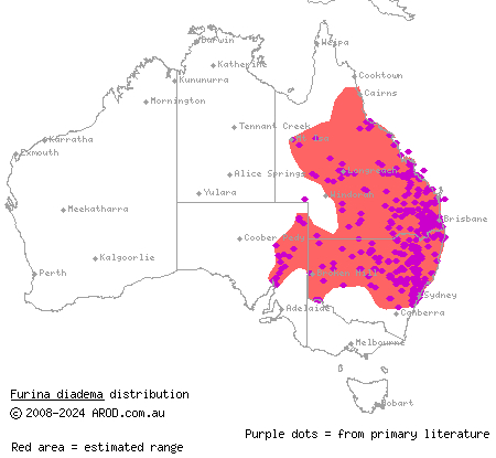 red-naped snake (Furina diadema) distribution range map