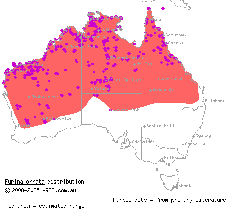 orange-naped snake (Furina ornata) distribution range map