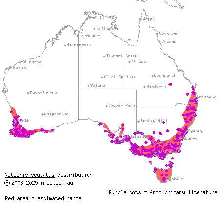 tiger snake (Notechis scutatus) distribution range map