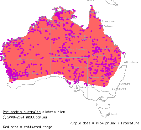 mulga snake (Pseudechis australis) distribution range map