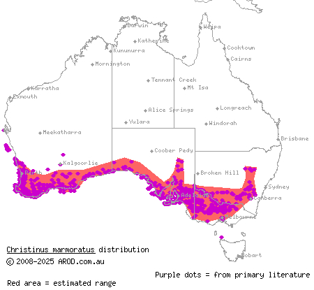 marbled gecko (Christinus marmoratus) distribution range map