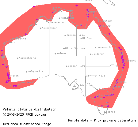 yellow-bellied sea snake (Pelamis platurus) distribution range map