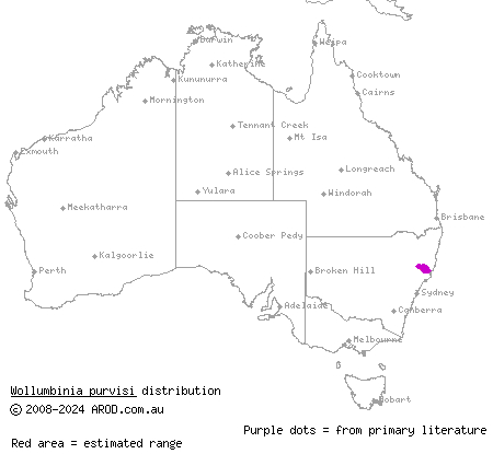  Purvis' turtle (Wollumbinia purvisi) distribution range map