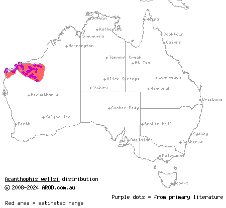 Pilbara death adder (Acanthophis wellsi) distribution range map