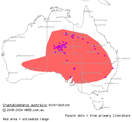 Inland snake-eyed skink (Cryptoblepharus australis) distribution range map