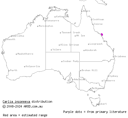 Whitsunday rainbow-skink (Carlia inconnexa) distribution range map
