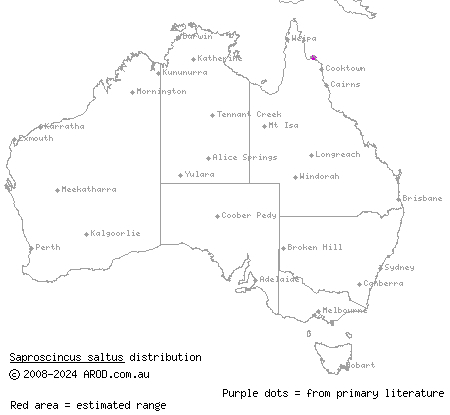 Cape Melville shadeskink (Saproscincus saltus) distribution range map