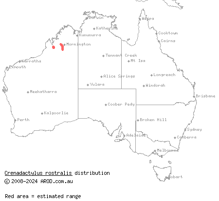 South-west Kimberley clawless gecko (Crenadactylus rostralis) distribution range map
