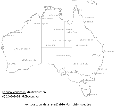 North West Cape gehyra (Gehyra capensis) distribution range map