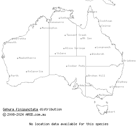 small-spotted mid-west rock gehyra (Gehyra finipunctata) distribution range map