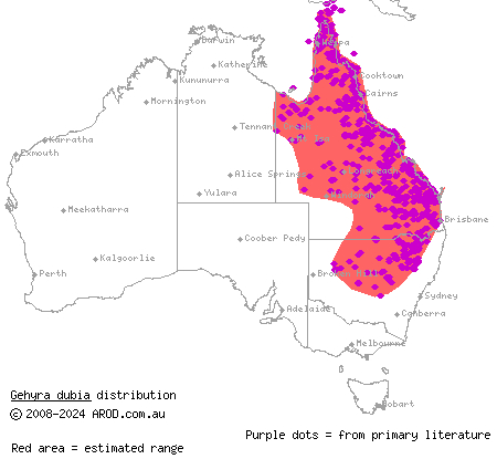 dubious dtella (Gehyra dubia) distribution range map