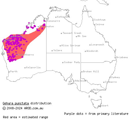 spotted dtella (Gehyra punctata) distribution range map