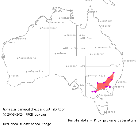 pink-tailed worm-lizard (Aprasia parapulchella) distribution range map