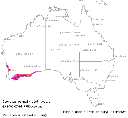 jewelled south-west ctenotus (Ctenotus gemmula) distribution range map