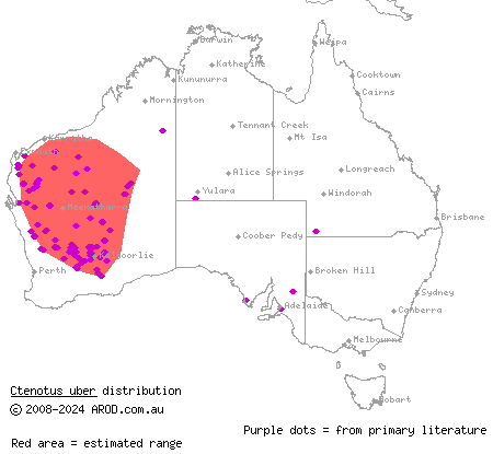 spotted ctenotus (Ctenotus uber) distribution range map