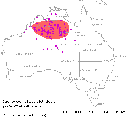 Lally's two-lined dragon (Diporiphora lalliae) distribution range map