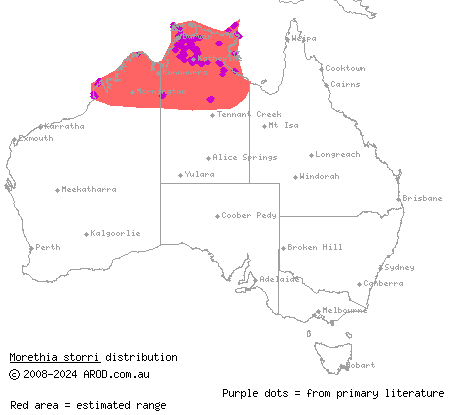 Top End fire-tailed skink (Morethia storri) distribution range map