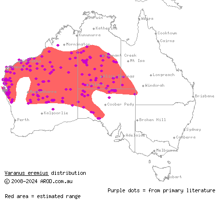 pygmy desert monitor (Varanus eremius) distribution range map