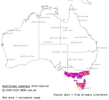 lowlands copperhead (Austrelaps superbus) distribution range map