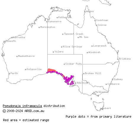 Peninsula brown snake (Pseudonaja inframacula) distribution range map