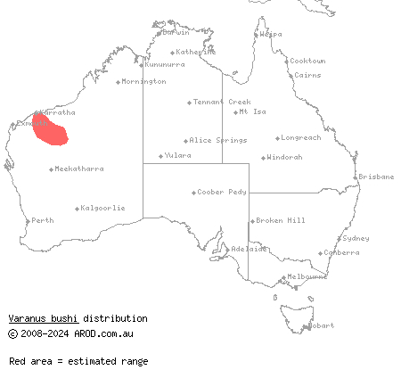 Bush's monitor (Varanus bushi) distribution range map