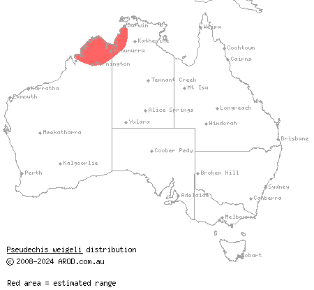 Western pygmy mulga snake (Pseudechis weigeli) distribution range map